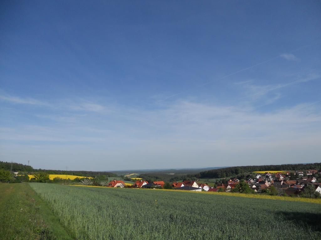 Schmitt * Waldfenster