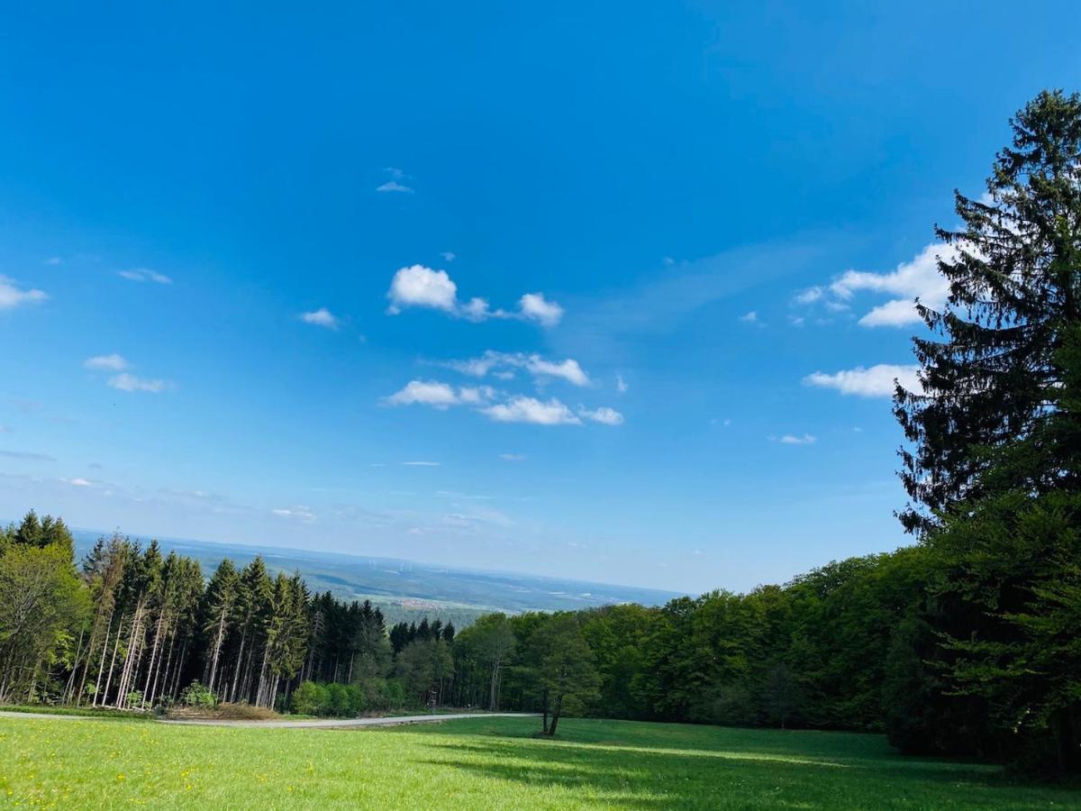 Schmitt * Waldfenster