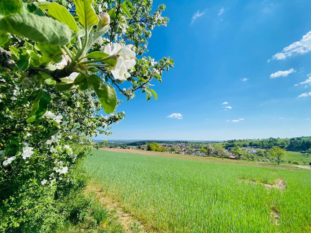 Schmitt * Waldfenster