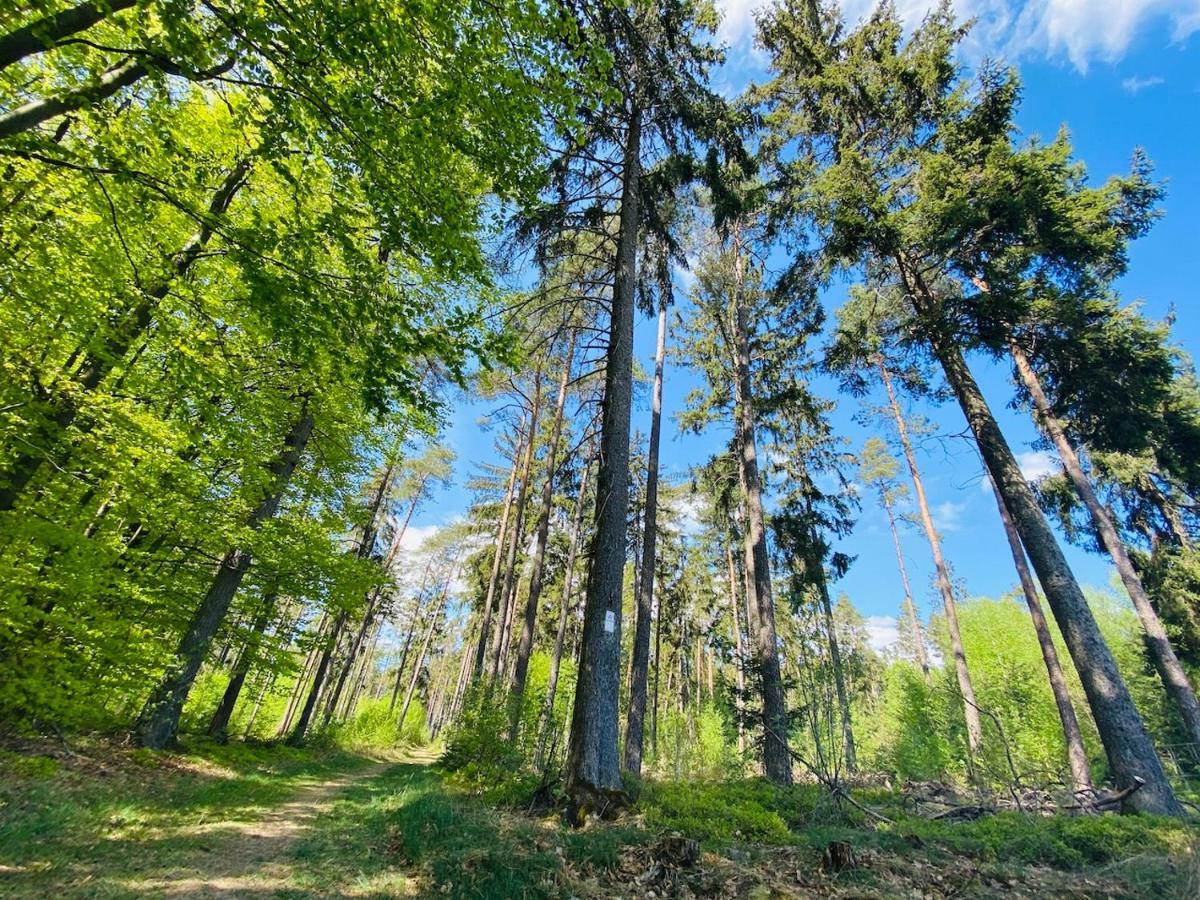 Gasthof Schmitt Waldfenster